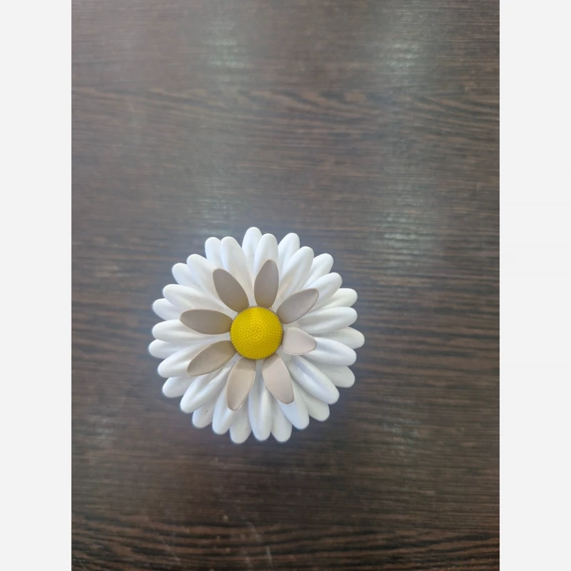 لیمون برس میوه شوی