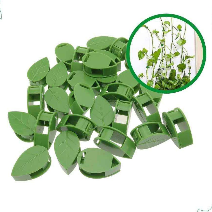کلیپس گیاه گیره برگ گل پتوس بسته 10عددی