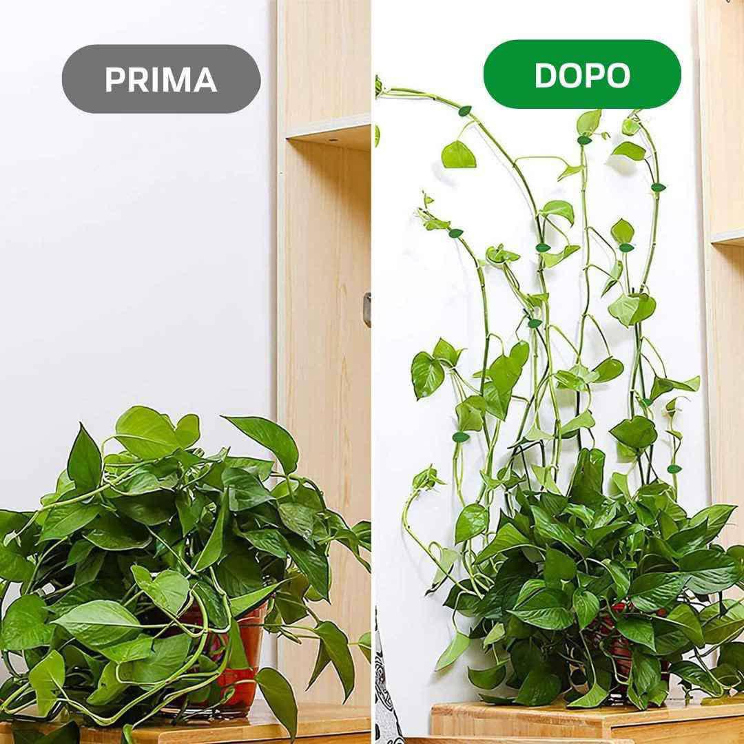 کلیپس گیاه گیره برگ گل پتوس بسته 10عددی