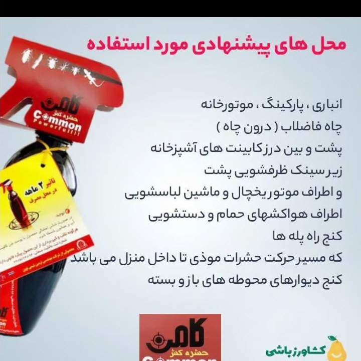 اسپری حشره کش قوی کامن 460 میل سوسک ساس مارمولک کک کنه