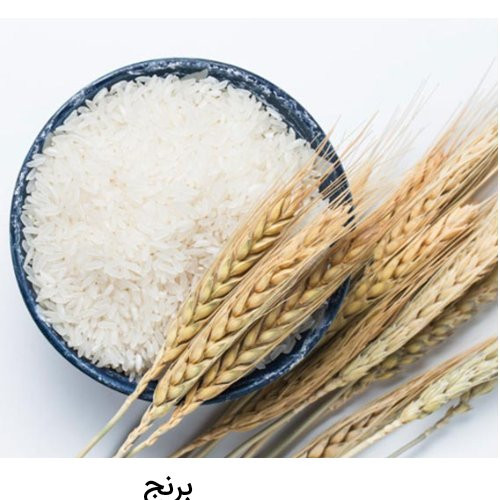 برنج ایرانی دمسیاه گیلان ارگانیک معطر آذوقه وزن 5 کیلوگرم به ضمانت عطر و کیفیت