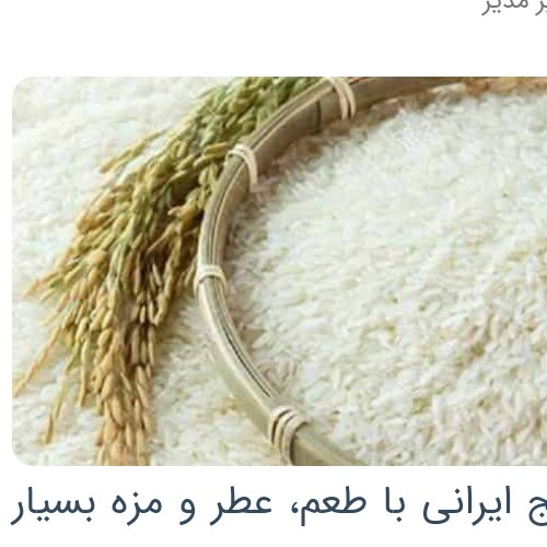 برنج ایرانی ویژه گلستان مقدار (10 کیلوگرم ) اصلی کد 1