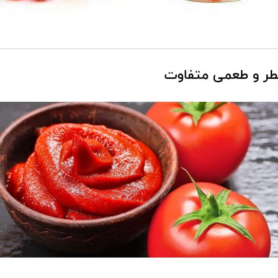 رب گوجه فرنگی مکنزی مقدار 800 گرم تاریخ جدید