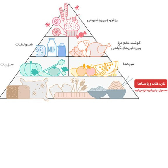 اسپاگتی ماکارونی زر ماکارون مقدار700 گرم قطر 1.2