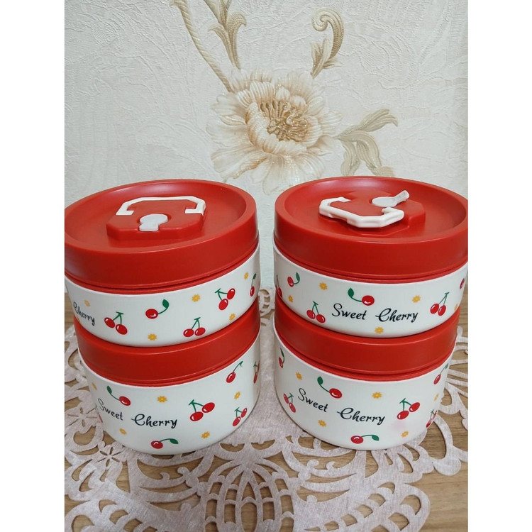 لانچ باکس طرحدار گیلاسی