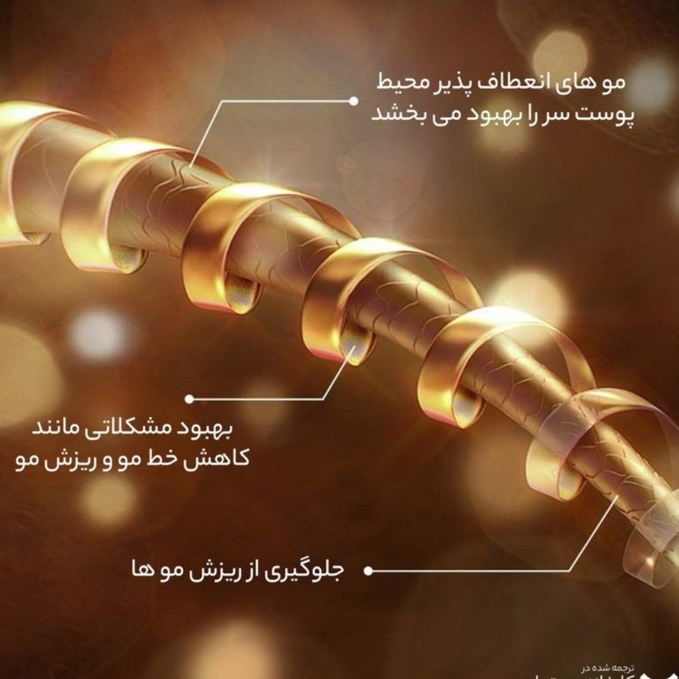شامپو رزماری ضد ریزش مو بیوآکوا 250میلی لیتری