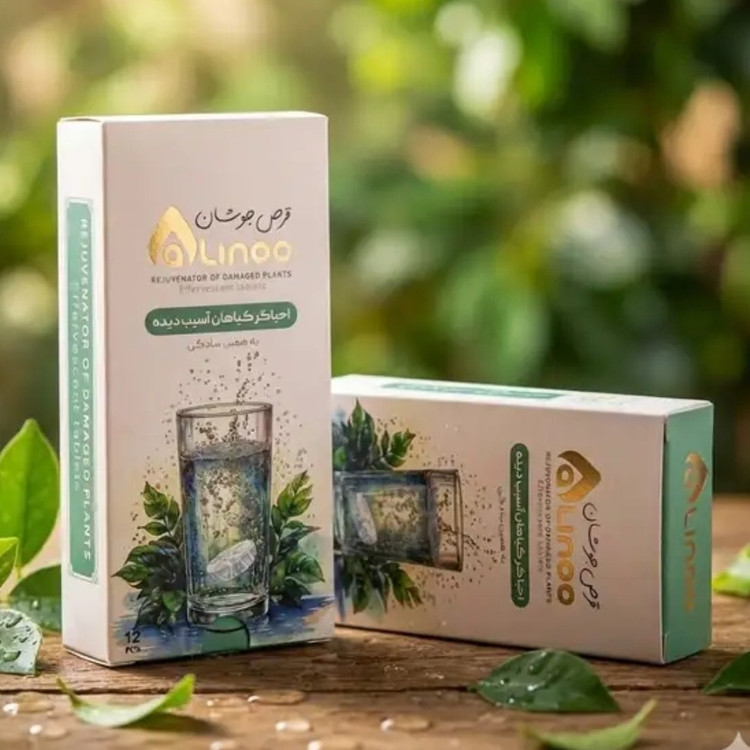 کود قرص جوشان ویژه احیا گیاهان زینتی آسیب دیده عالینو