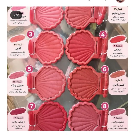 رژگونه پودری صدفی رمانتیک(قیمت مناسب،عرضه مستقیم)